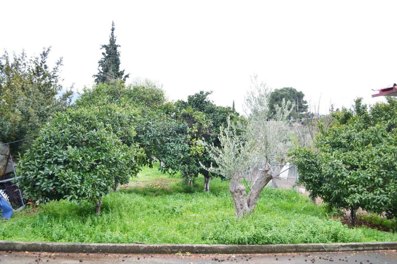Villa Bella Loukisia Loukissia Exterior foto